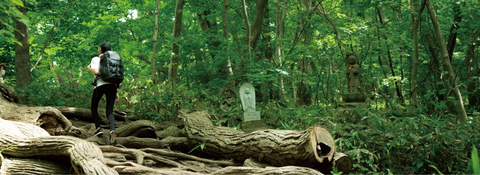 Sapporo visual data 2