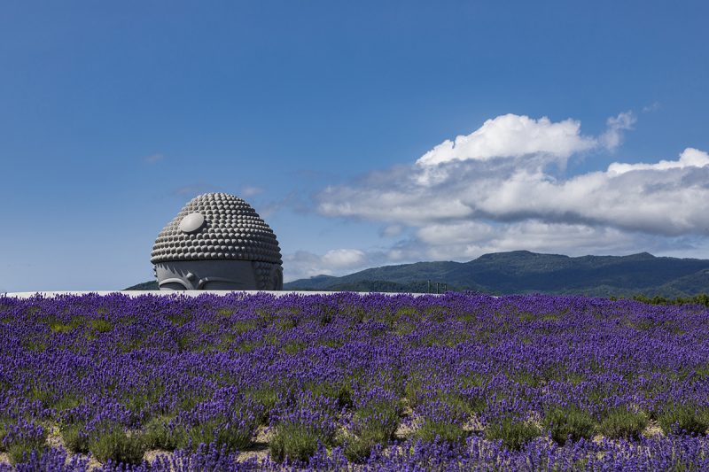 Sapporo visual data 5