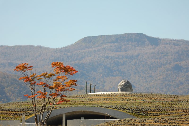 Sapporo visual data 6