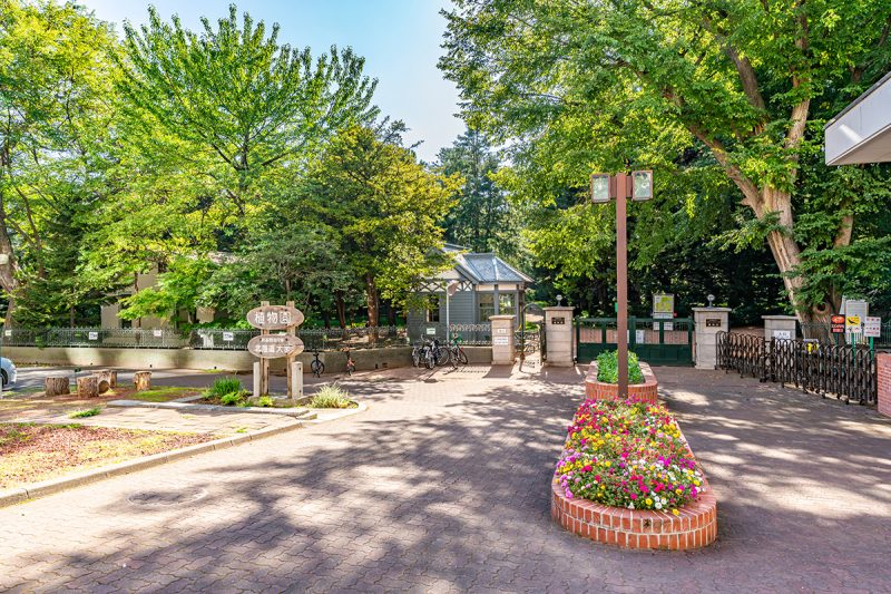 TOP SAPPORO SEHENSW RDIGKEITEN visual data 7